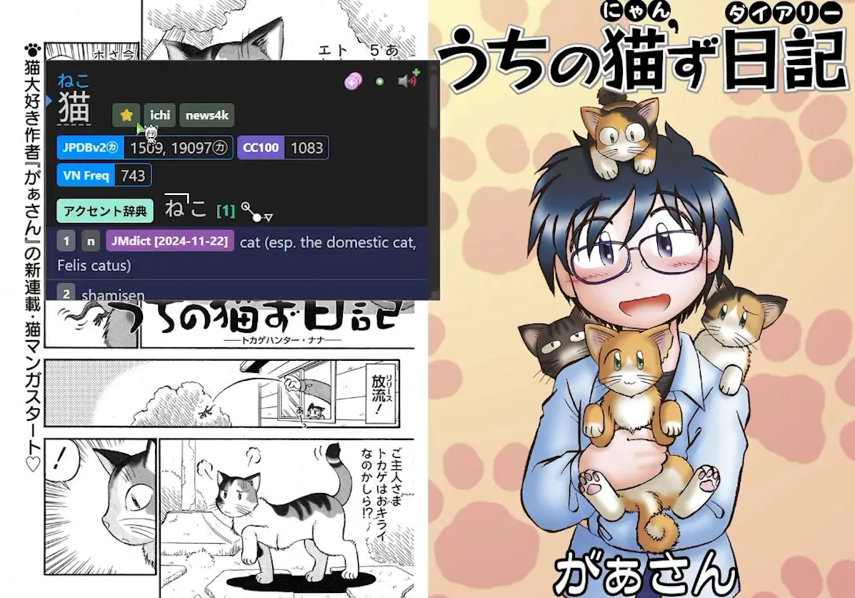 Manga & Comics